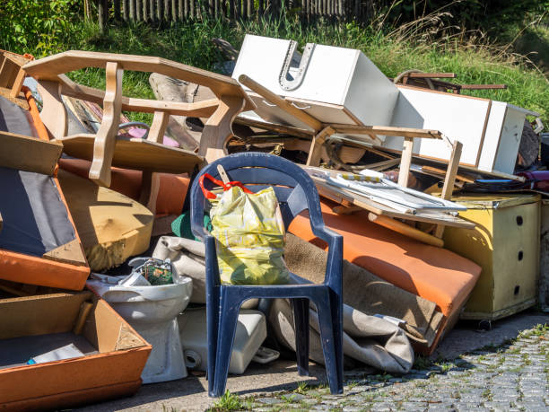 Best Professional Junk Removal  in Bargersville, IN